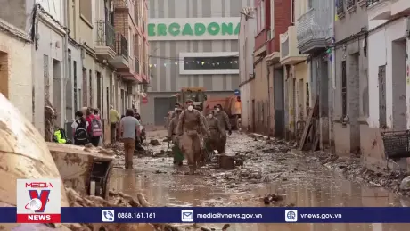 Thiên tai gây thiệt hại nặng cho ngành bảo hiểm toàn cầu