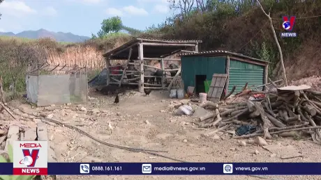 Xuân ấm cho người dân vùng thiên tai