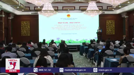 Bảo vệ bản quyền trong môi trường thương mại điện tử