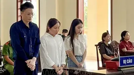 Phạt tù hai cựu nhân viên bệnh viện Cần Thơ tham ô tài sản liên quan Công ty Việt Á