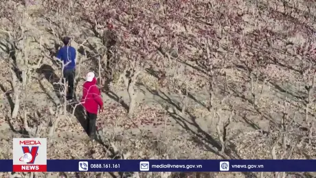 Trung Quốc hoàn thành dự án 'xanh hóa' sa mạc