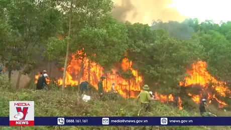 Diễn tập phòng chống cháy rừng cấp quốc gia