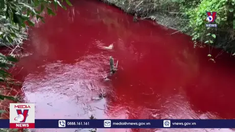 Dòng suối ở Chơn Thành đổi thành màu đỏ do một công ty xả thải
