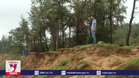 Báo động tình trạng sạt lở bờ biển, bờ sông tại Quảng Ngãi