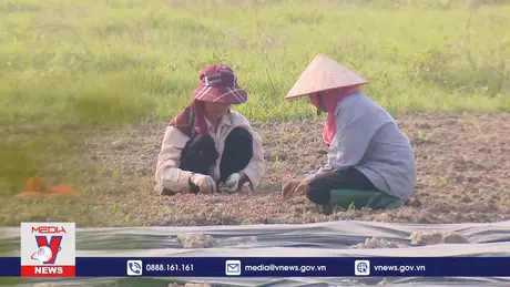 Tập trung đào tạo những gì doanh nghiệp cần