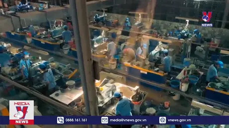 Bản tin thời sự 20h ngày 08/12/2024