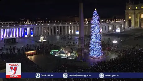 Vatican thắp sáng cây thông Giáng sinh