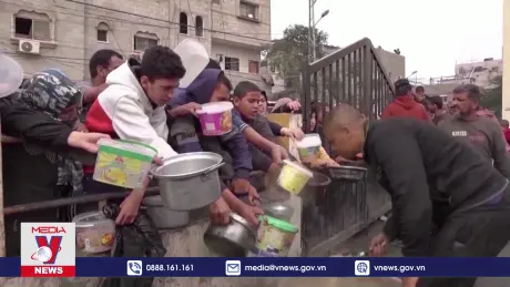 FAO cảnh báo mất an ninh lương thực nghiêm trọng ở Gaza