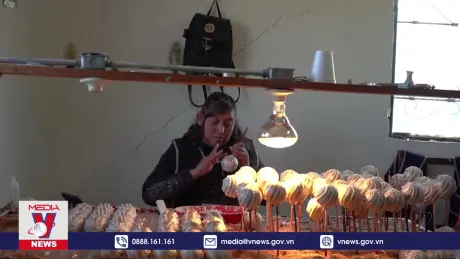 Khám phá làng chế tạo đồ trang trí thủ công ở Mexico