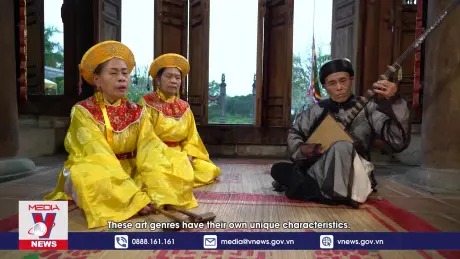 Phim tài liệu: Người đánh đàn đáy nơi cửa đình