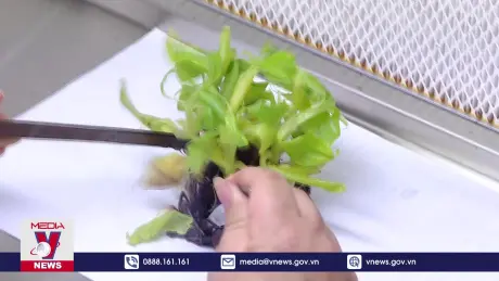 Đẩy mạnh nông nghiệp ứng dụng công nghệ cao