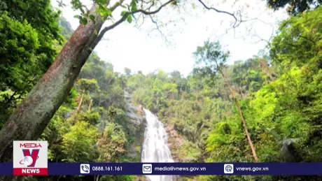 Lợn rừng chết bất thường trong Vườn Quốc gia Pù Mát