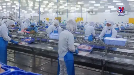 Nhật trình kinh tế ngày 9/12/2024