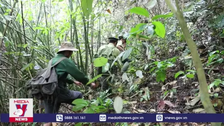 Bảo tồn đa dạng sinh học ở Khu dự trữ sinh quyển Pù Huống