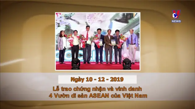 Khoảnh khắc & Sự kiện ngày 10/12/2024