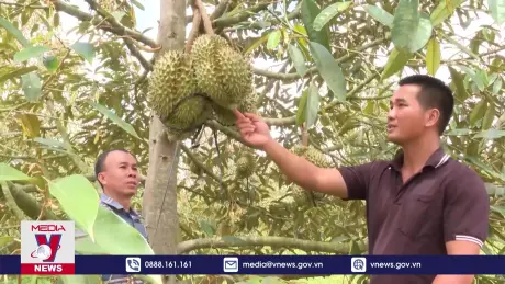 Phú Yên phát triển kinh tế - xã hội vùng đồng bào dân tộc thiểu số