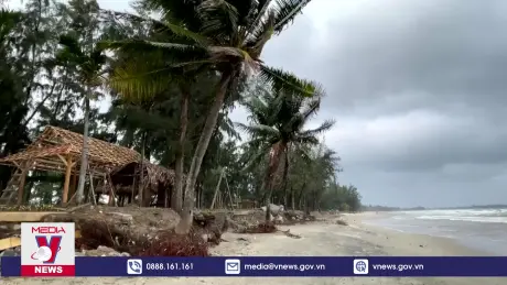 Bờ biển Mỹ Khê, thành phố Quảng Ngãi bị xói lở nghiêm trọng