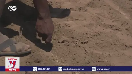 3/4 diện tích đất trên thế giới đang chết dần