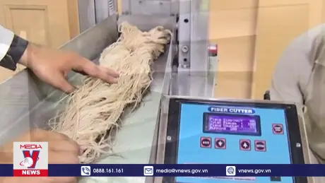 Nguồn năng lượng xanh từ thân cây chuối