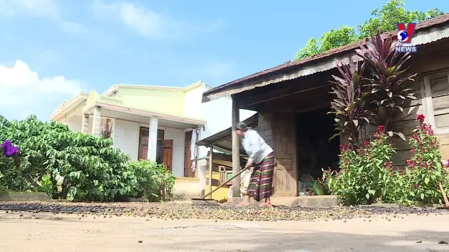 Giảm nghèo Tây Nguyên đa dạng sinh kế để giảm nghèo bền vững 