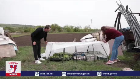 FAO hỗ trợ ngành nông nghiệp Ukraine