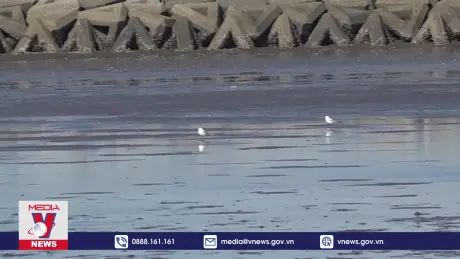 Kinh nghiệm chung sống hòa hợp với thiên nhiên ở Nhật Bản