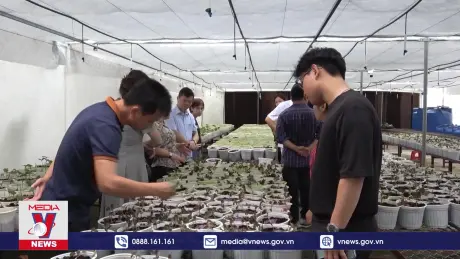 Công nghệ cao tạo động lực cho tăng trưởng kinh tế