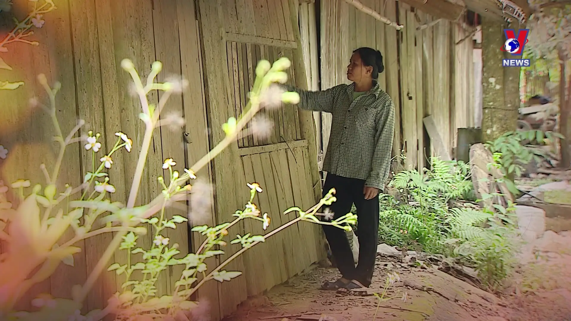 Giảm nghèo về pháp lý cho đồng bào vùng khó khăn
