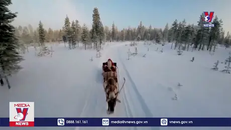 Bản tin thời sự 11h ngày 11/12/2024