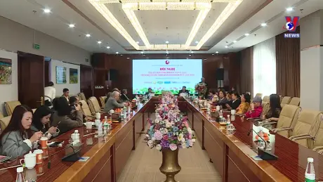 Văn hoá toàn cảnh ngày 11/12/2024