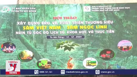 Nâng tầm giá trị sâm Ngọc Linh