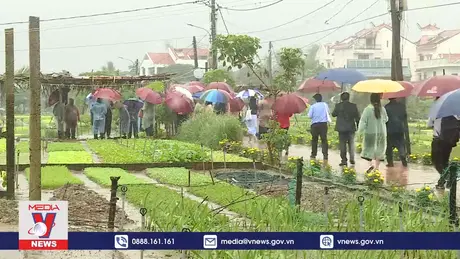 Đại biểu quốc tế đội mưa trải nghiệm làng rau Trà Quế