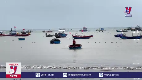 Nguồn lợi thủy sản cạn kiệt do khai thác quá mức