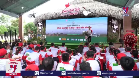 Đồng Tháp công bố Đề án bảo tồn sếu đầu đỏ