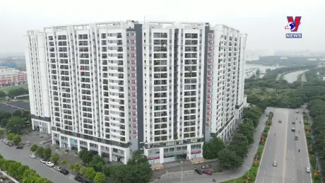 Nhật trình kinh tế ngày 13/12/2024