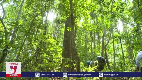 Thanh Hóa bảo tồn đa dạng sinh học gắn với phát triển du lịch