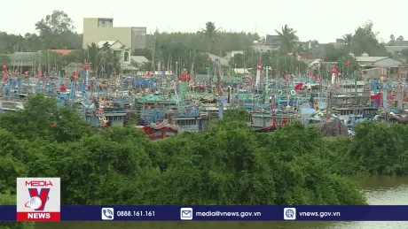 Thời tiết bất lợi ngư dân lo thất thu vụ cá Tết