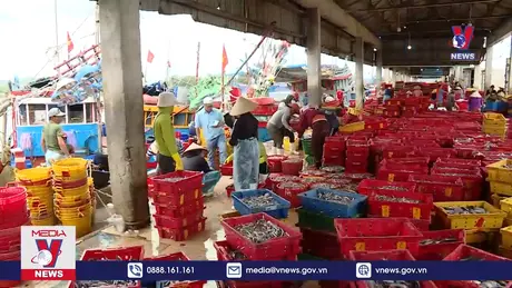 Bản tin thời sự 22h ngày 12/12/2024