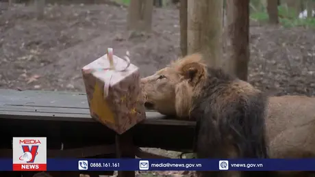 Vườn thú London tặng quà Giáng sinh cho động vật