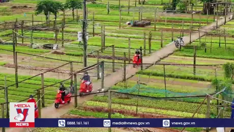 Quảng Nam khai thác tiềm năng từ du lịch nông nghiệp