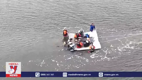 Giải cứu hai chú cá heo ở rừng ngập mặn tại Mỹ