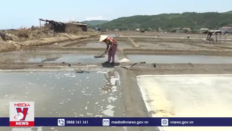 Nghề làm muối Sa Huỳnh là Di sản văn hóa phi vật thể Quốc gia