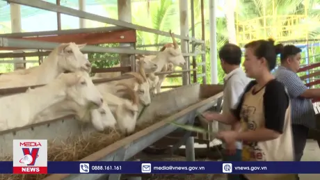 Tiền Giang phát triển mô hình du lịch nông thôn