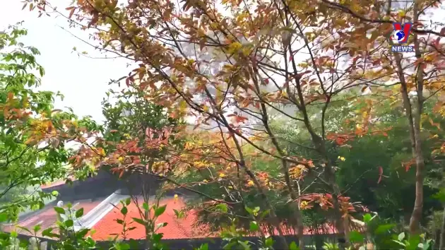 Thông điệp lịch sử: Khu Di tích K9 Đá Chông