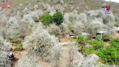 Điện Biên - Gìn giữ văn hóa dân tộc từ du lịch cộng đồng