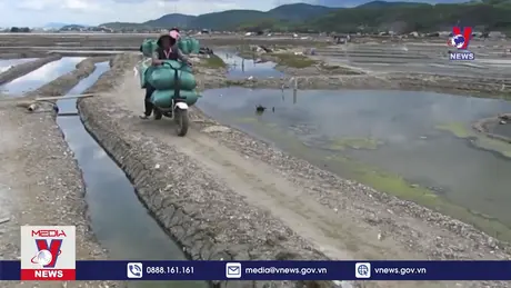 Bản tin thời sự 17h ngày 16/12/2024