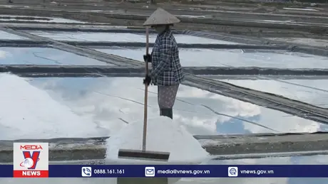 Hành trình 100 năm nghề muối
