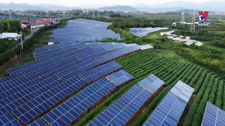 Giảm 30% tổng lượng phát thải khí mê-tan