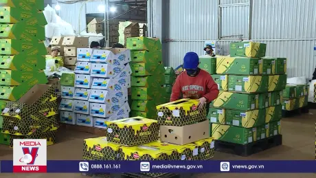 Hướng đi mới tạo việc làm cho người bản địa ở Gia Lai