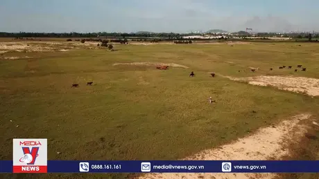 Quảng Ngãi vẫn còn 110 dự án chậm tiến độ gây lãng phí